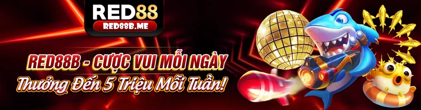 Hình ảnh đại diện Điều khoản và Điều kiện của tải fun97